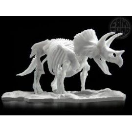 Model Kit Limex Skeleton - Dinosaur - Triceratops