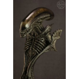 HOT TOYS - BUSTO - ALIEN 1/4